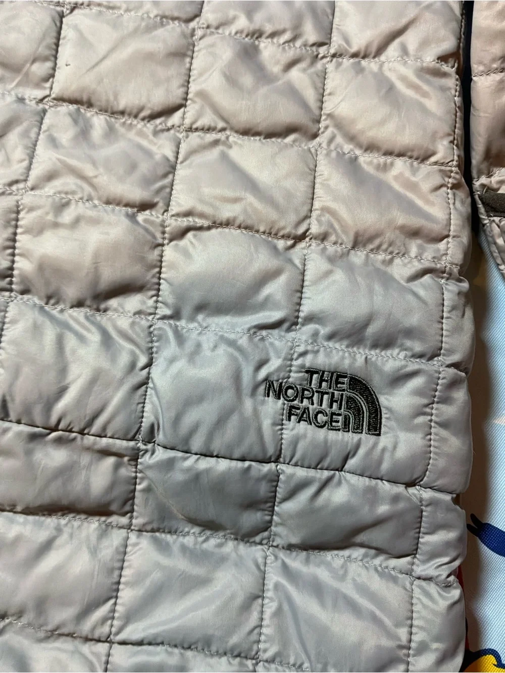 The North Face north face